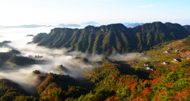 廣元：“云”賞曾家山紅