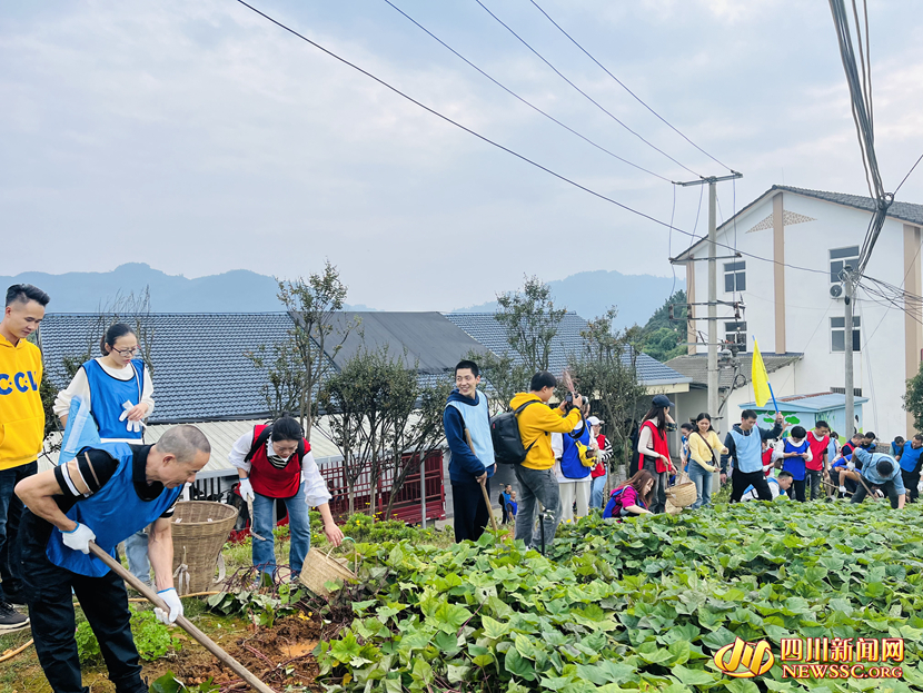 游客體驗采摘樂趣_副本.jpg